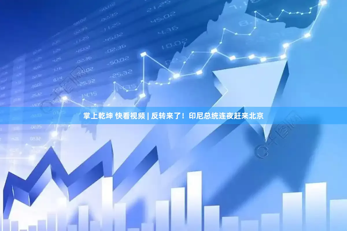 掌上乾坤 快看视频 | 反转来了！印尼总统连夜赶来北京