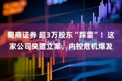蜀商证券 超3万股东“踩雷”！这家公司突遭立案，内控危机爆发